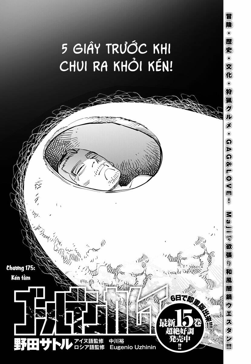 Cơn Sốt Vàng Sau Chiến Tranh Chapter 175 - Trang 2