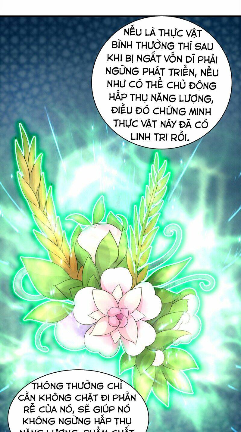 Cái Thế Đế Tôn Chapter 53 - Trang 2