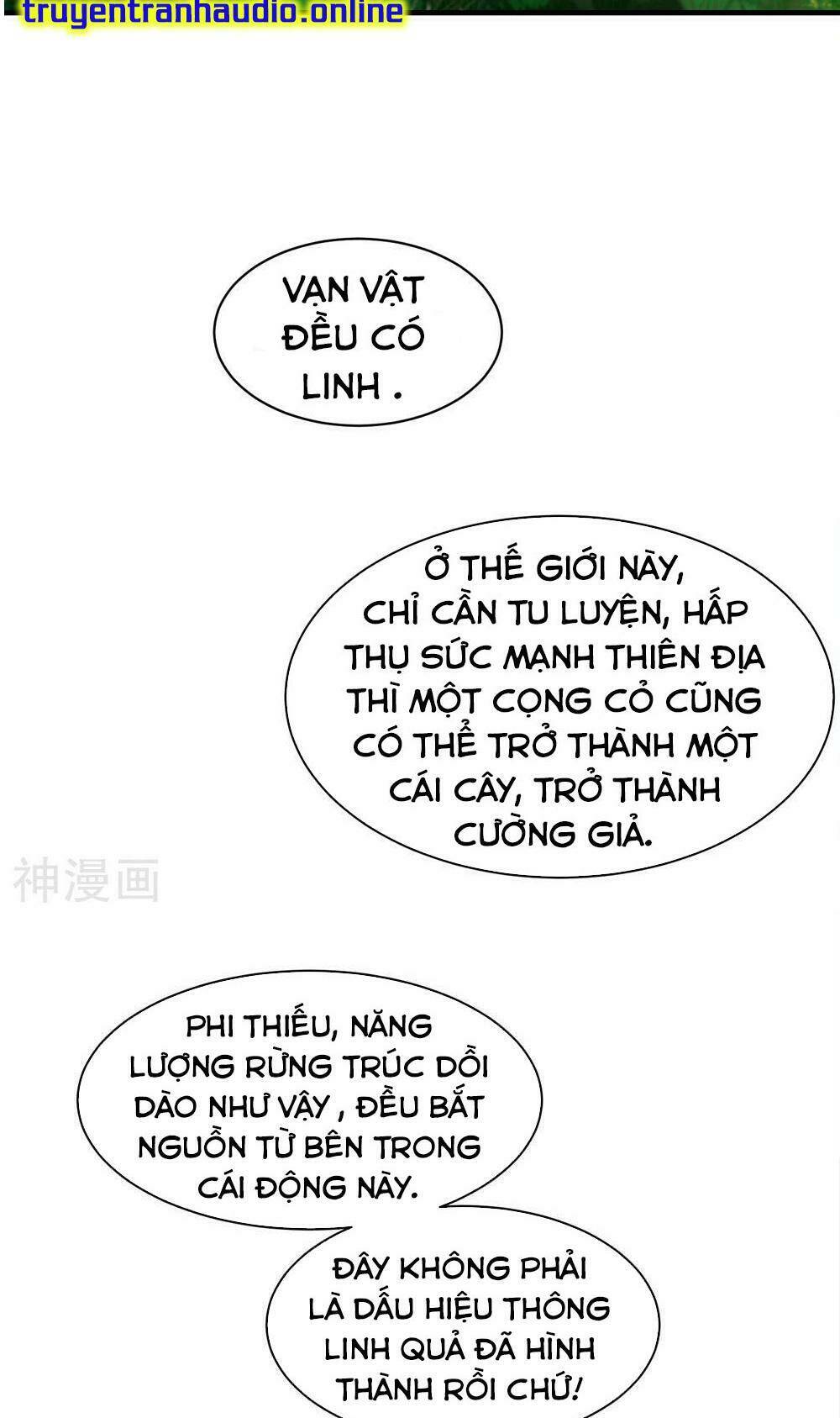 Cái Thế Đế Tôn Chapter 41 - Trang 2