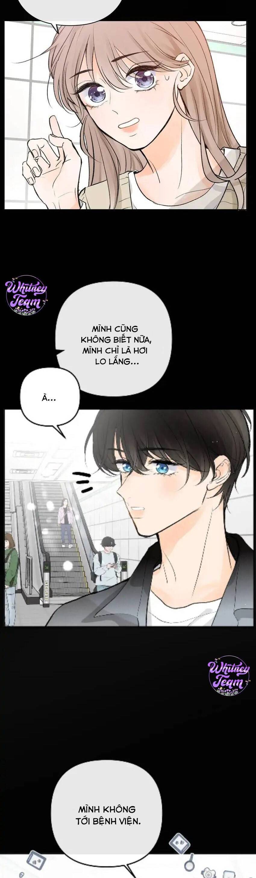 Những Ngày Thanh Xuân Của Tôi Chapter 10 - Trang 2