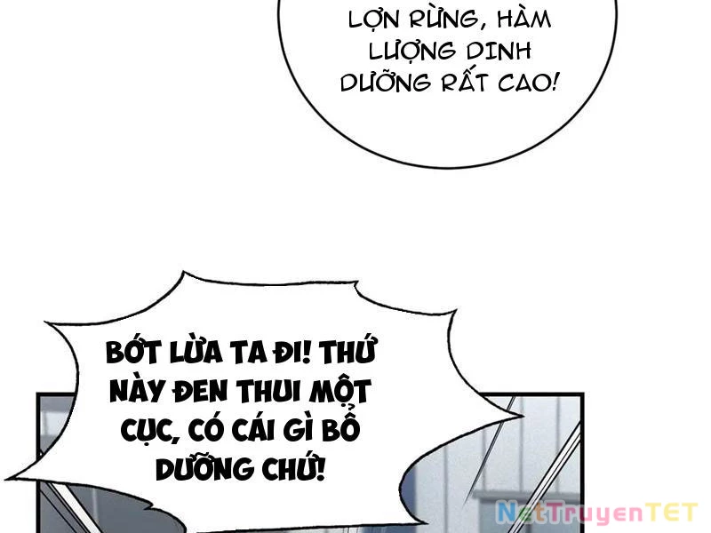 Ta Bán Hàng Vỉa Hè Ở Mạt Thế Chapter 33 - Trang 2