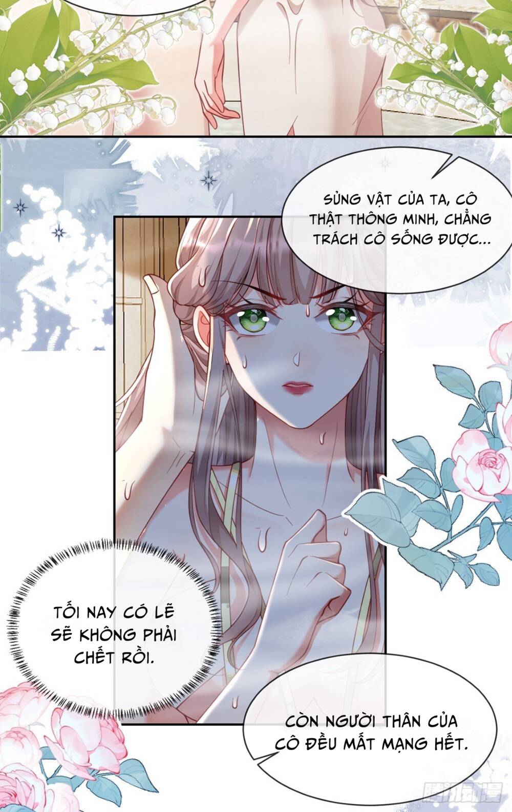 Rơi Vào Tay Bạo Chúa Chapter 5 - Trang 2