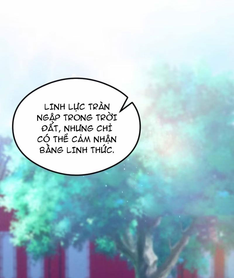 Ảo Ma! Ta Mở Lớp Huấn Luyện Nữ Đế! Chapter 21 - Trang 2