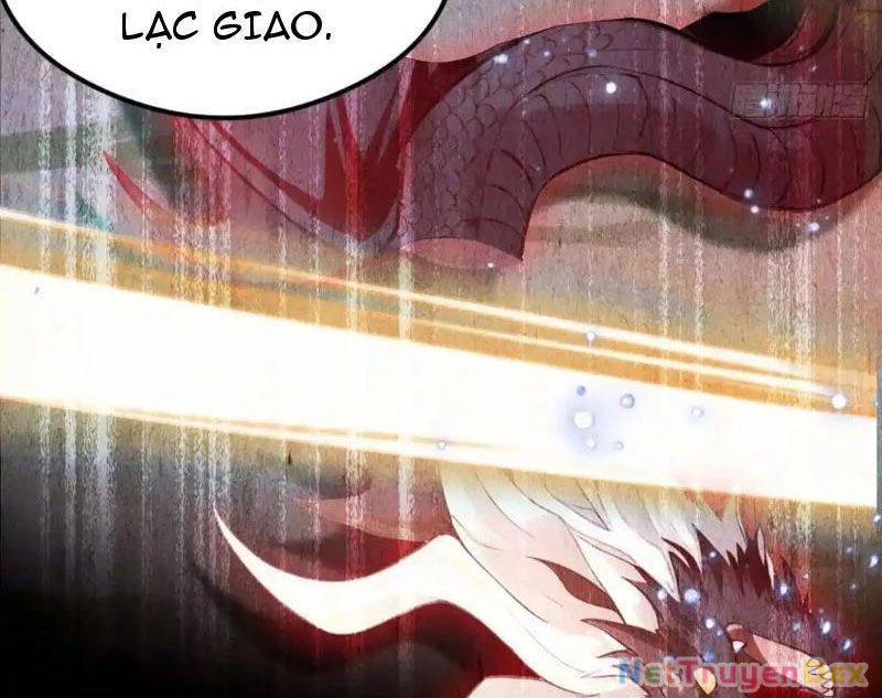 Ảo Ma! Ta Mở Lớp Huấn Luyện Nữ Đế! Chapter 64 - Trang 2