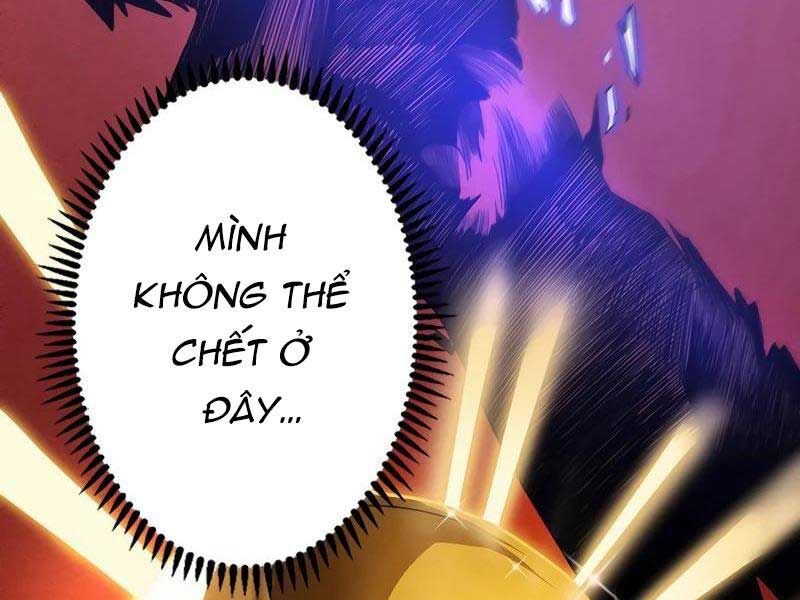 Trở Thành Anh Hùng Mạnh Nhất Nhờ Gian Lận Chapter 1 - Trang 2