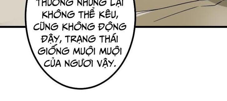 Ngưu Thư Cung Ứng Thương Chapter 148 - Trang 2