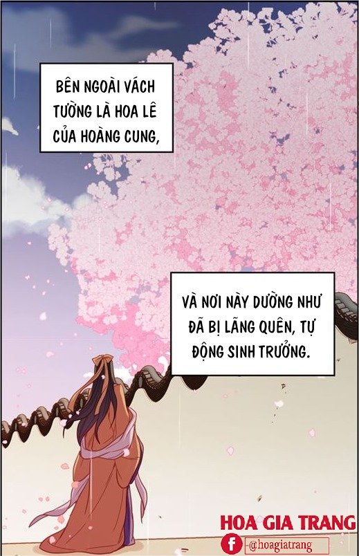 Ác Nữ Hoàng Hậu Chapter 71 - Trang 2