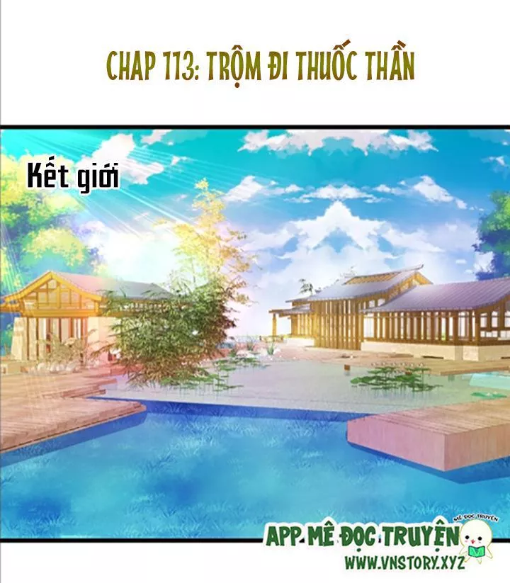 Huyết Tộc Đáng Yêu Chapter 113 - Trang 2