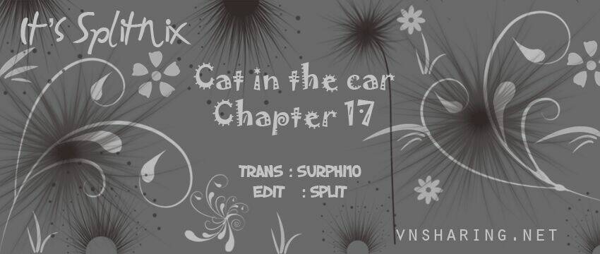 Cat In The Car Chapter 17 - Trang 2