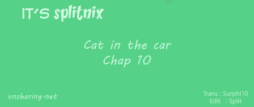 Cat In The Car Chapter 10 - Trang 2