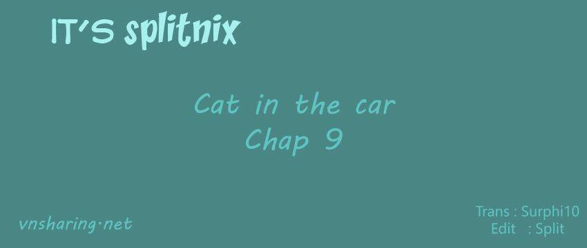 Cat In The Car Chapter 9 - Trang 2