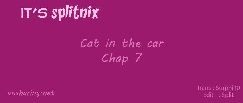 Cat In The Car Chapter 7 - Trang 2