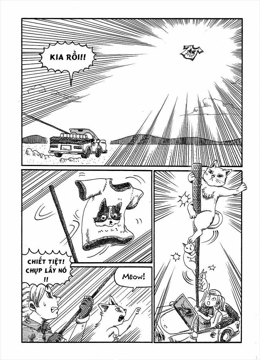 Cat In The Car Chapter 6 - Trang 2