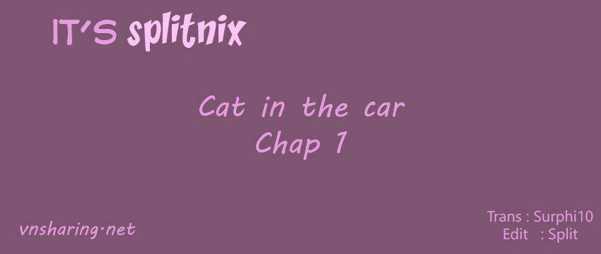 Cat In The Car Chapter 1 - Trang 2