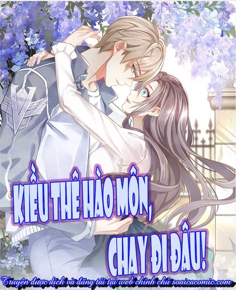 Kiều Thê Hào Môn Chạy Đi Đâu Chapter 9 - Trang 2