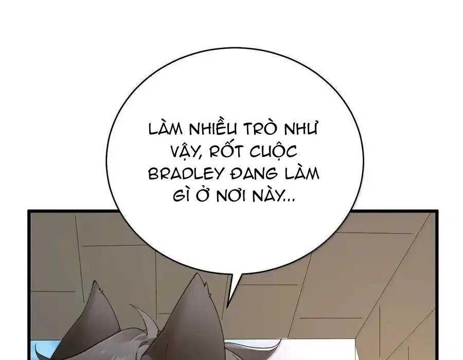 Thánh Nữ, Xin Hãy Dừng Ngay Những Trò Quái Đản Của Cô Đi!! Chapter 92 - Trang 2