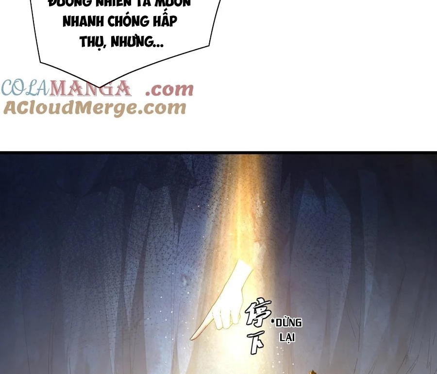 Thánh Nữ, Xin Hãy Dừng Ngay Những Trò Quái Đản Của Cô Đi!! Chapter 82 - Trang 2