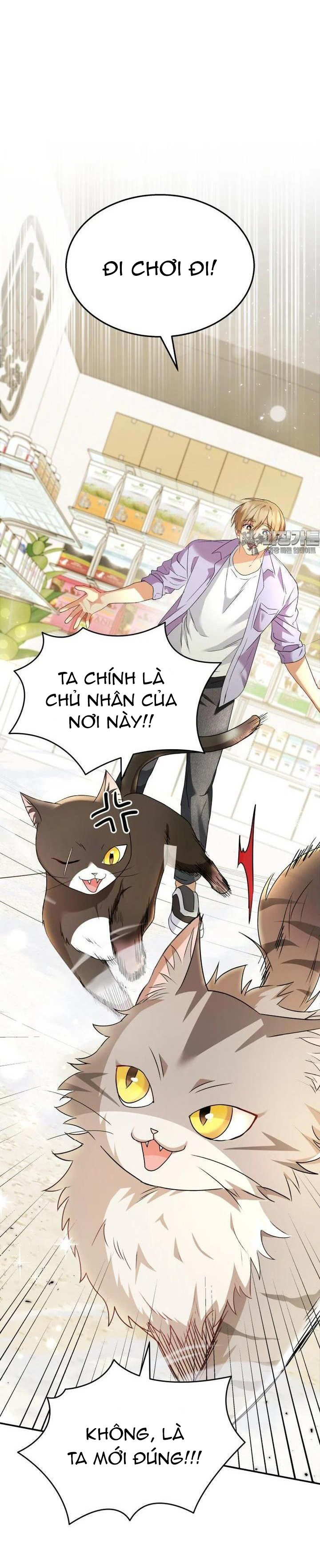 Xin Chào! Bác Sĩ Thú Y Chapter 51 - Trang 2