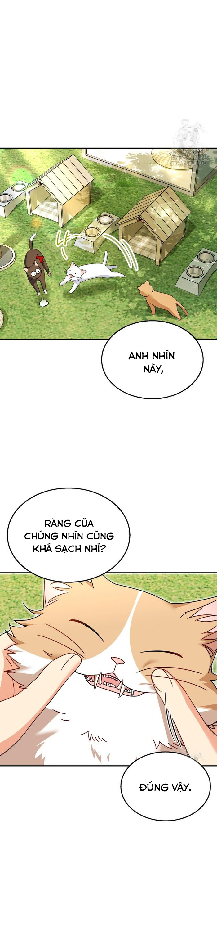 Xin Chào! Bác Sĩ Thú Y Chapter 40 - Trang 2