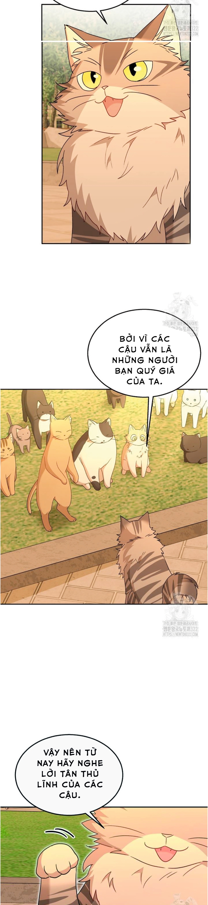 Xin Chào! Bác Sĩ Thú Y Chapter 38 - Trang 2