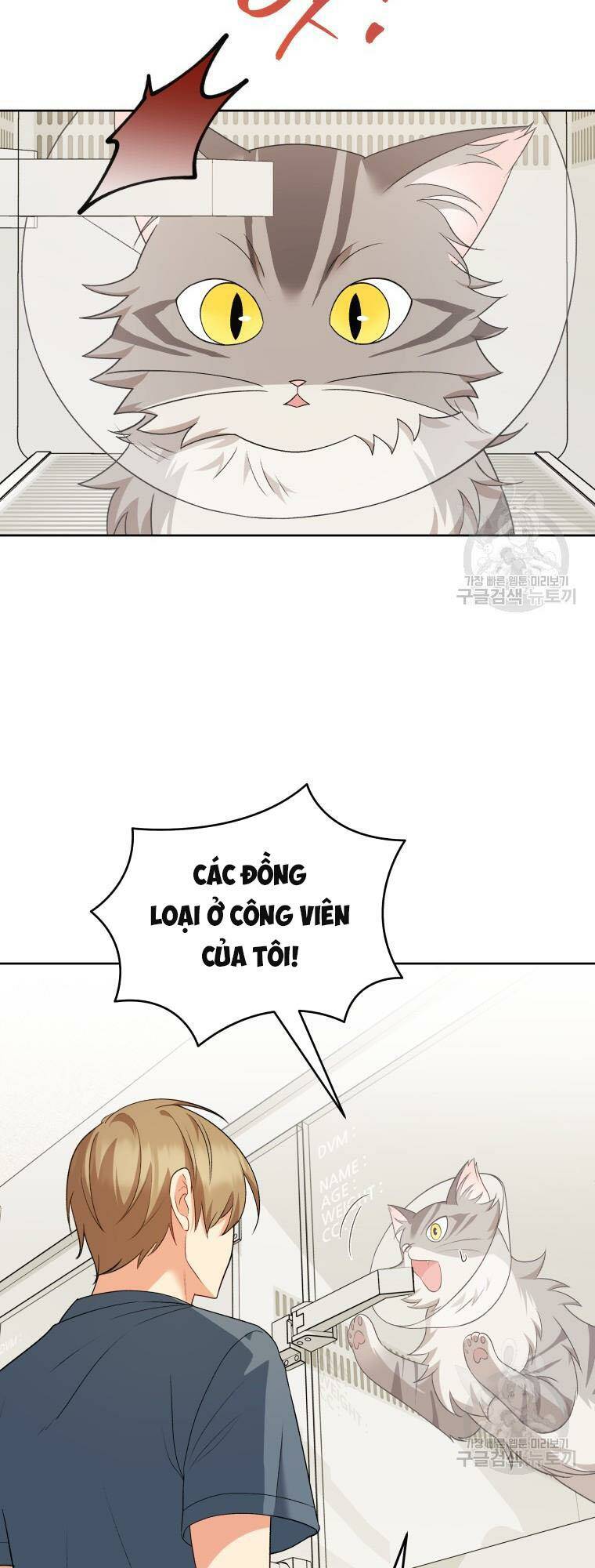 Xin Chào! Bác Sĩ Thú Y Chapter 15 - Trang 2