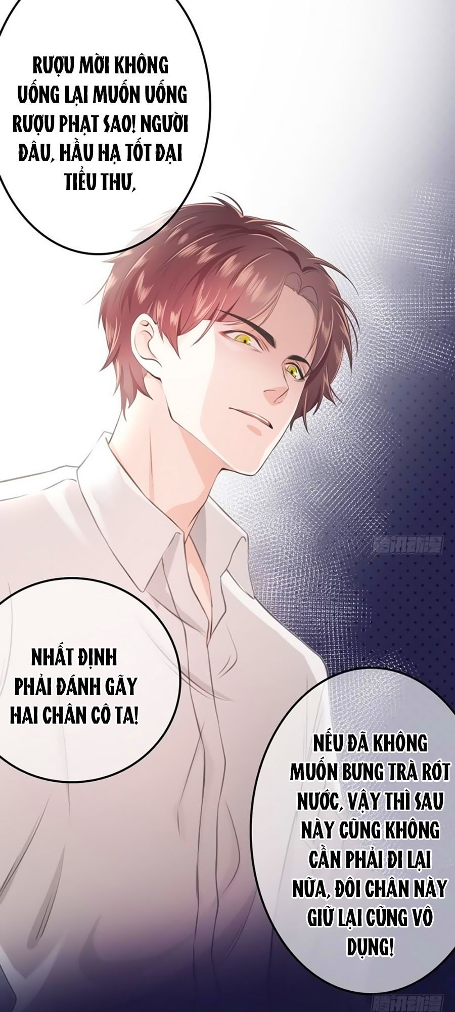 Vợ Yêu Tư Sủng Của Thiếu Soái Chapter 3 - Trang 2