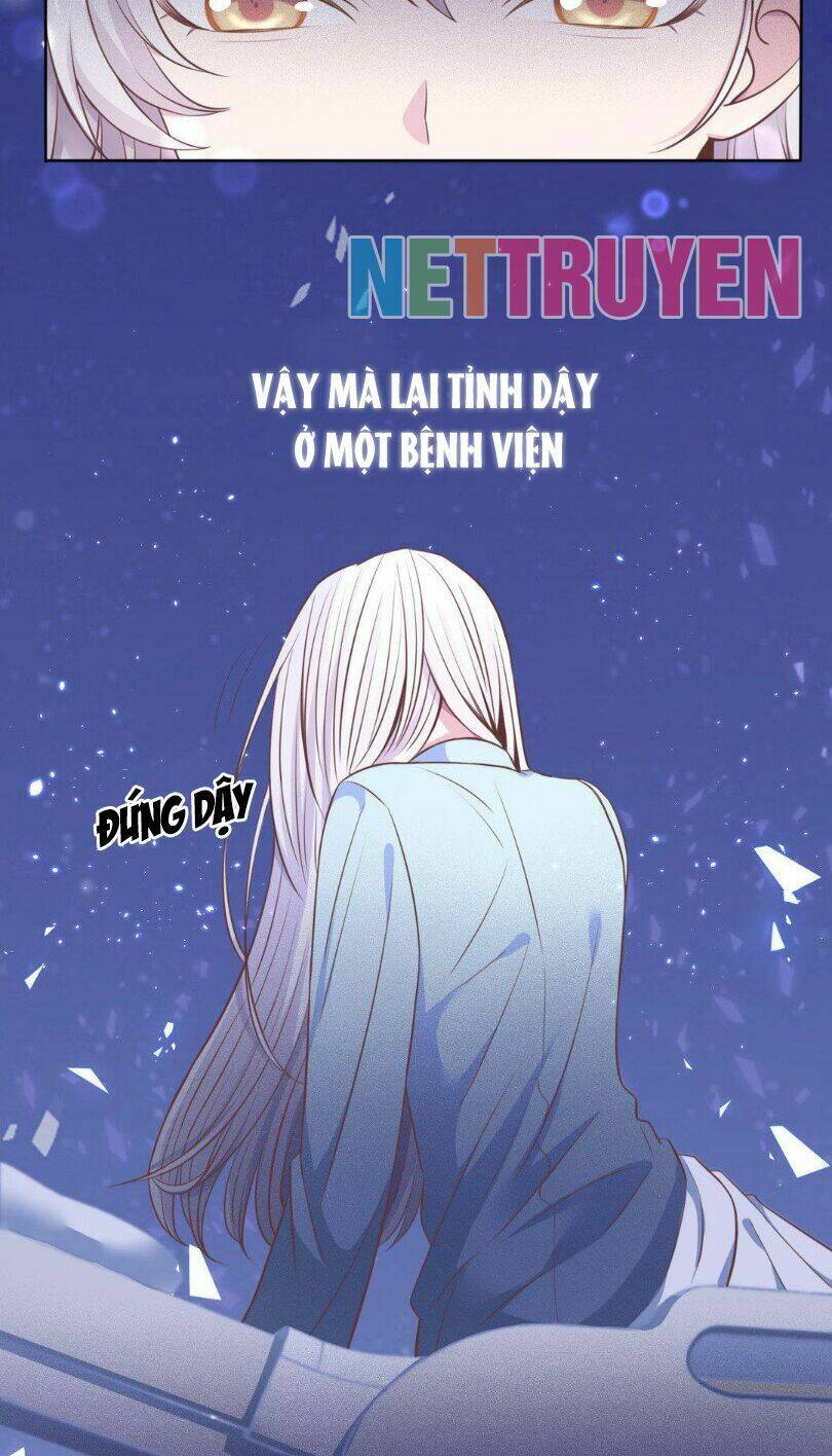 Trở Lại Showbiz Làm Ảnh Hậu Chapter 0 - Trang 2