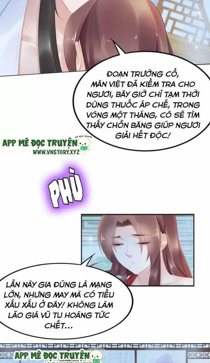 Nhất Sinh Nhất Thế Tiếu Thương Khung Chapter 75 - Trang 2