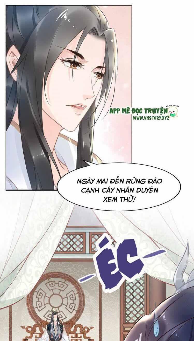 Nhất Sinh Nhất Thế Tiếu Thương Khung Chapter 28 - Trang 2