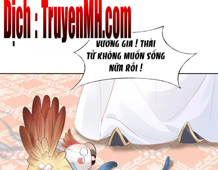 Nhất Sinh Nhất Thế Tiếu Thương Khung Chapter 7 - Trang 2