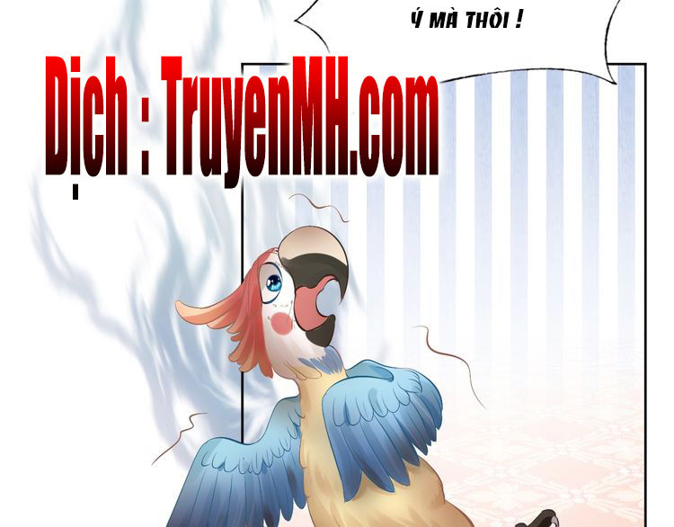 Nhất Sinh Nhất Thế Tiếu Thương Khung Chapter 7 - Trang 2