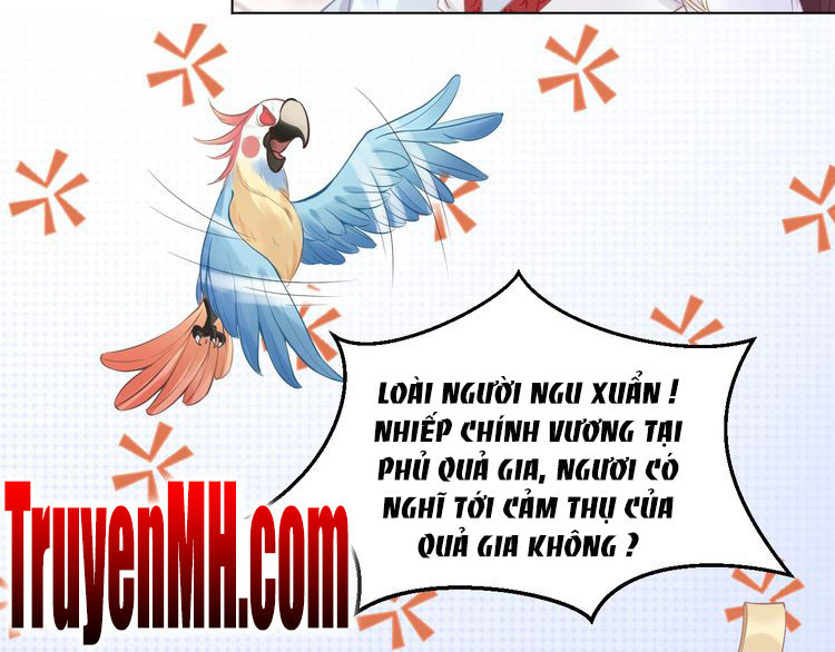 Nhất Sinh Nhất Thế Tiếu Thương Khung Chapter 6 - Trang 2