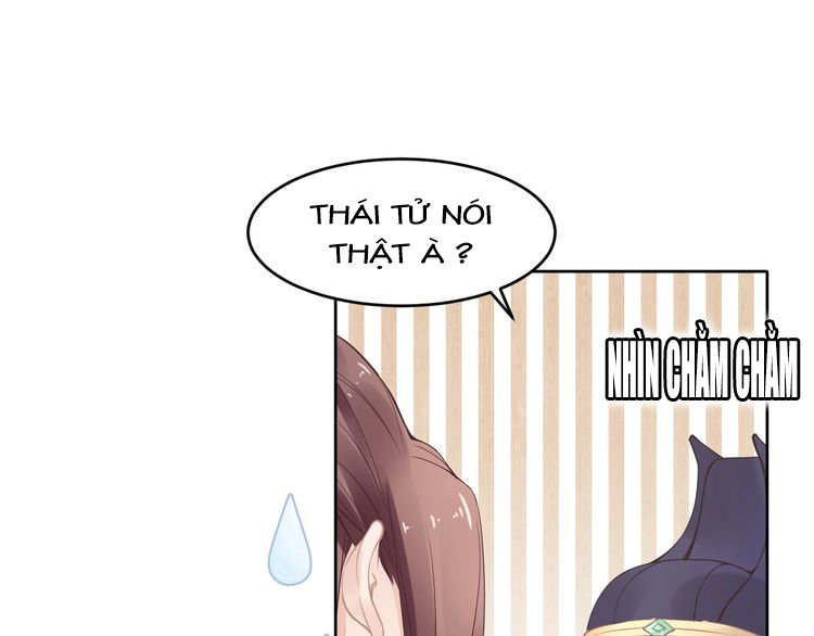 Nhất Sinh Nhất Thế Tiếu Thương Khung Chapter 4 - Trang 2