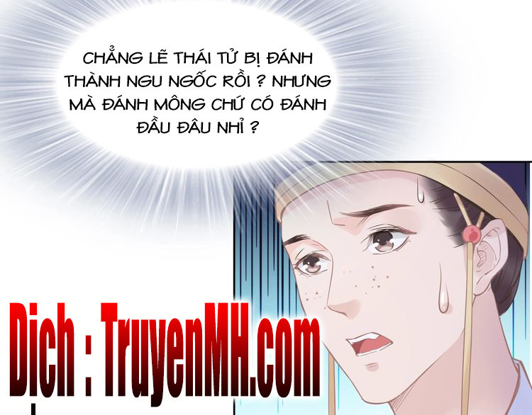 Nhất Sinh Nhất Thế Tiếu Thương Khung Chapter 4 - Trang 2