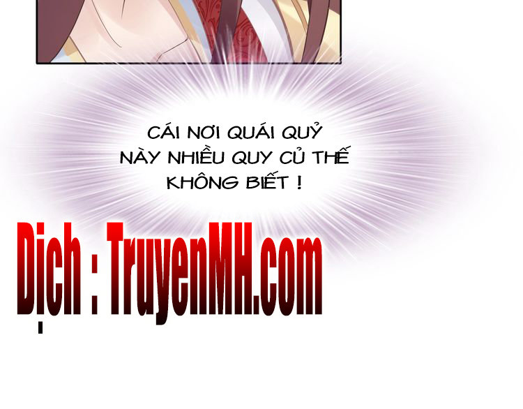 Nhất Sinh Nhất Thế Tiếu Thương Khung Chapter 4 - Trang 2