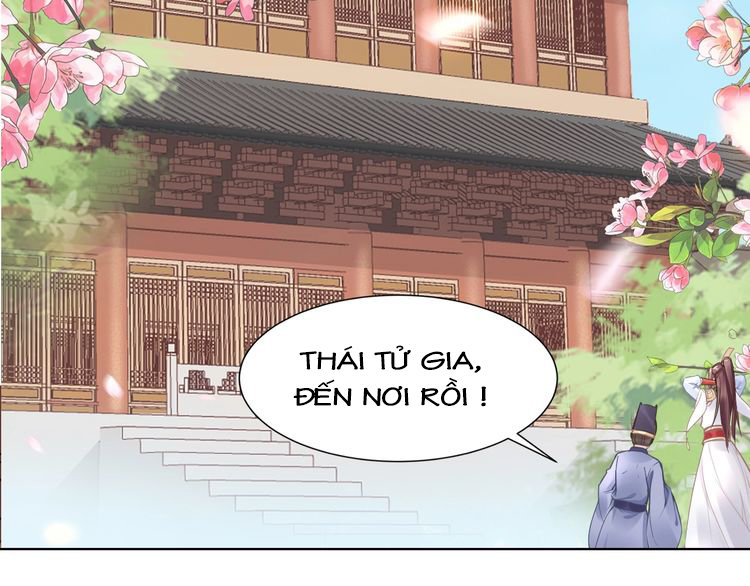 Nhất Sinh Nhất Thế Tiếu Thương Khung Chapter 4 - Trang 2