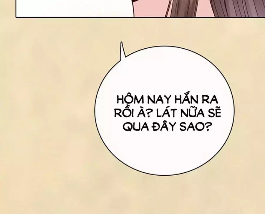 Mỹ Nhân Già Rồi Chapter 69 - Trang 2