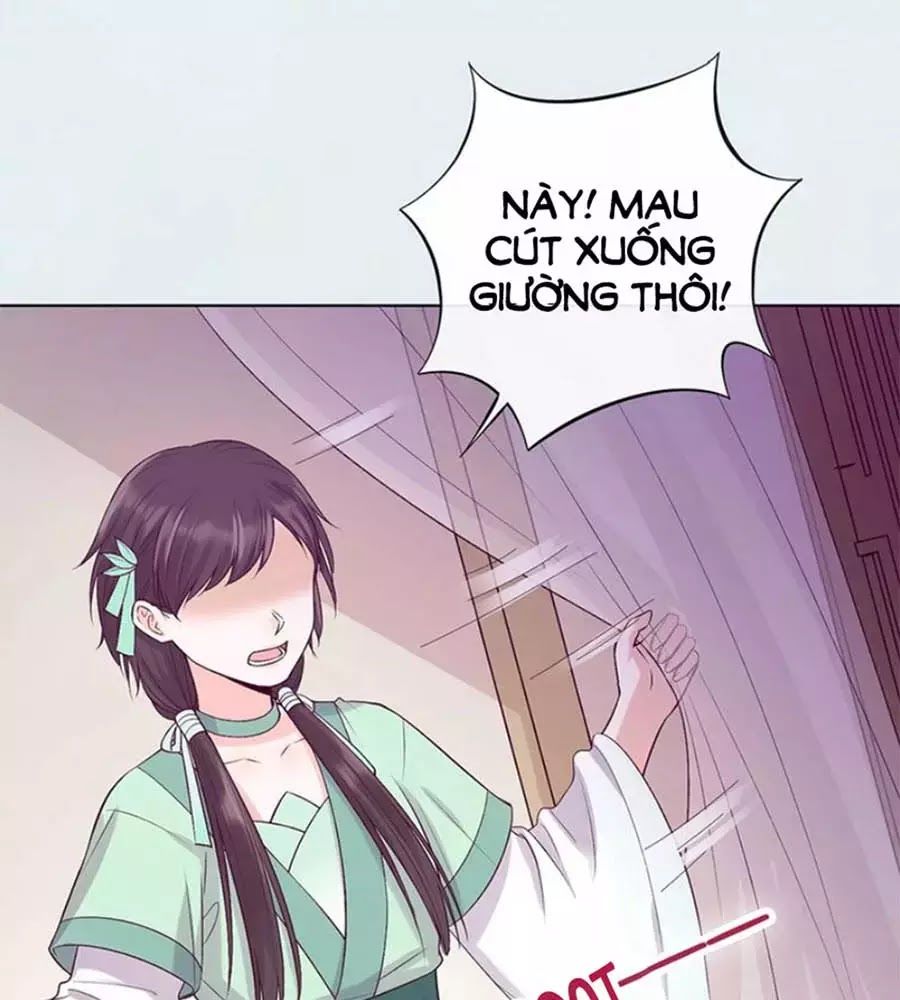 Mỹ Nhân Già Rồi Chapter 69 - Trang 2