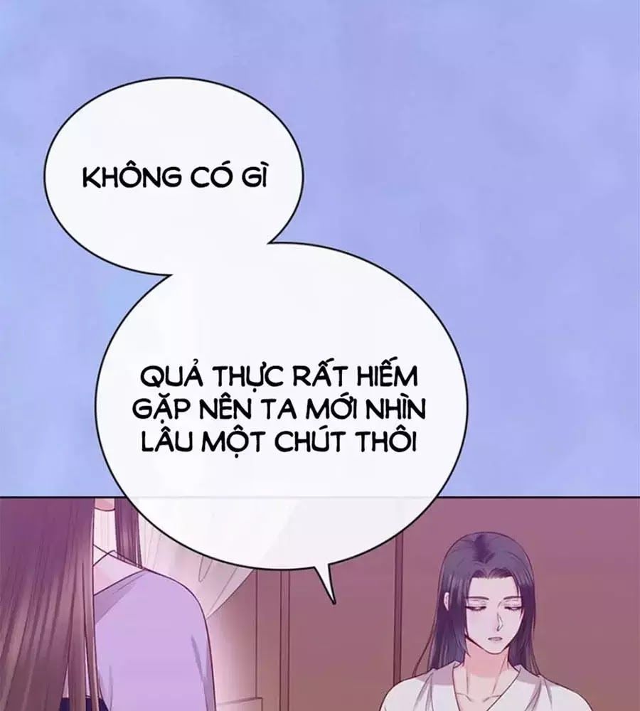 Mỹ Nhân Già Rồi Chapter 68 - Trang 2