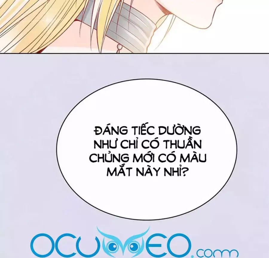 Mỹ Nhân Già Rồi Chapter 67 - Trang 2