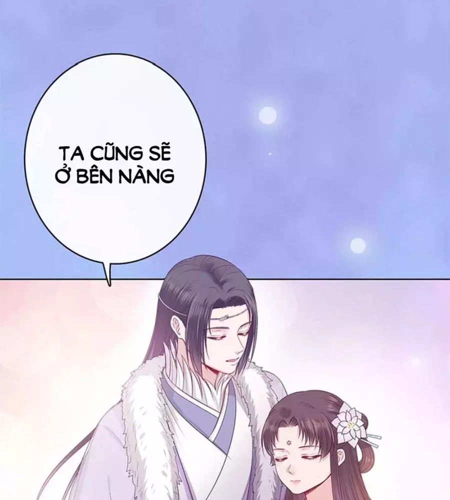 Mỹ Nhân Già Rồi Chapter 66 - Trang 2