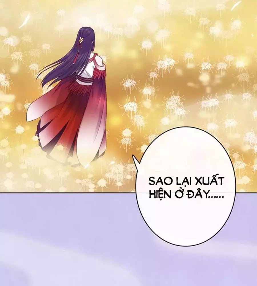 Mỹ Nhân Già Rồi Chapter 66 - Trang 2