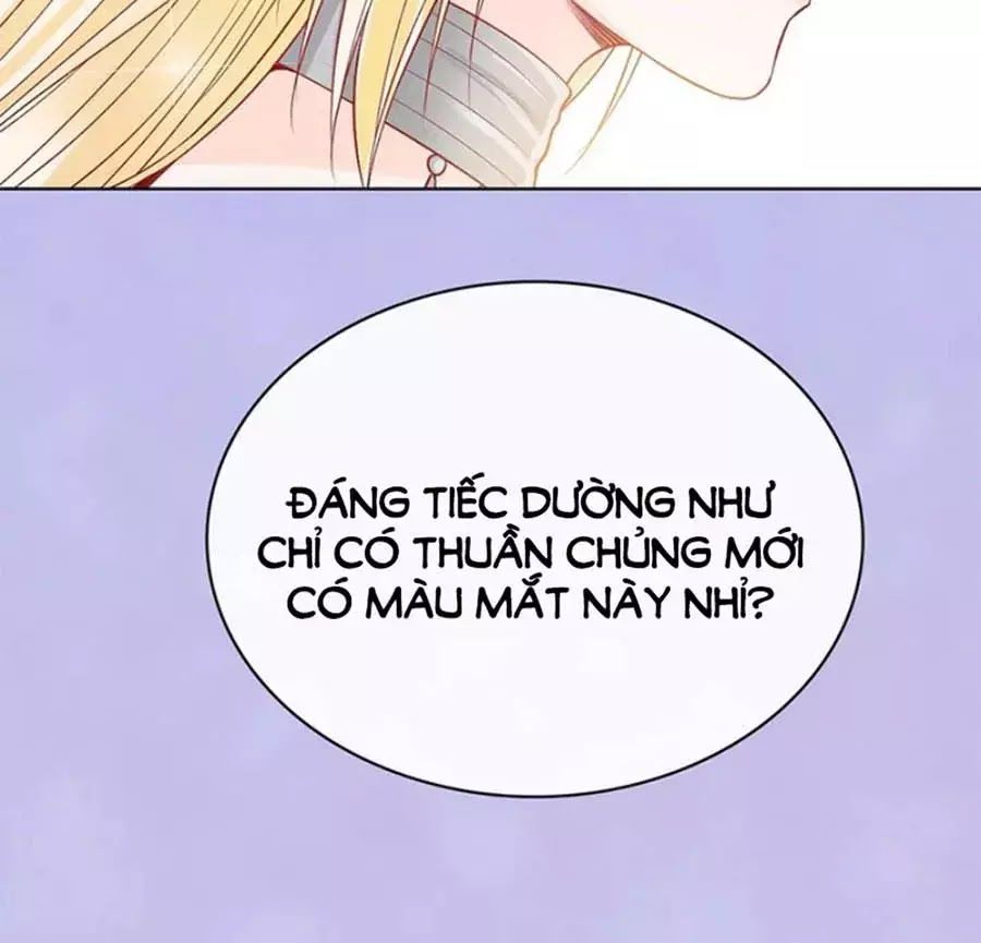 Mỹ Nhân Già Rồi Chapter 66 - Trang 2