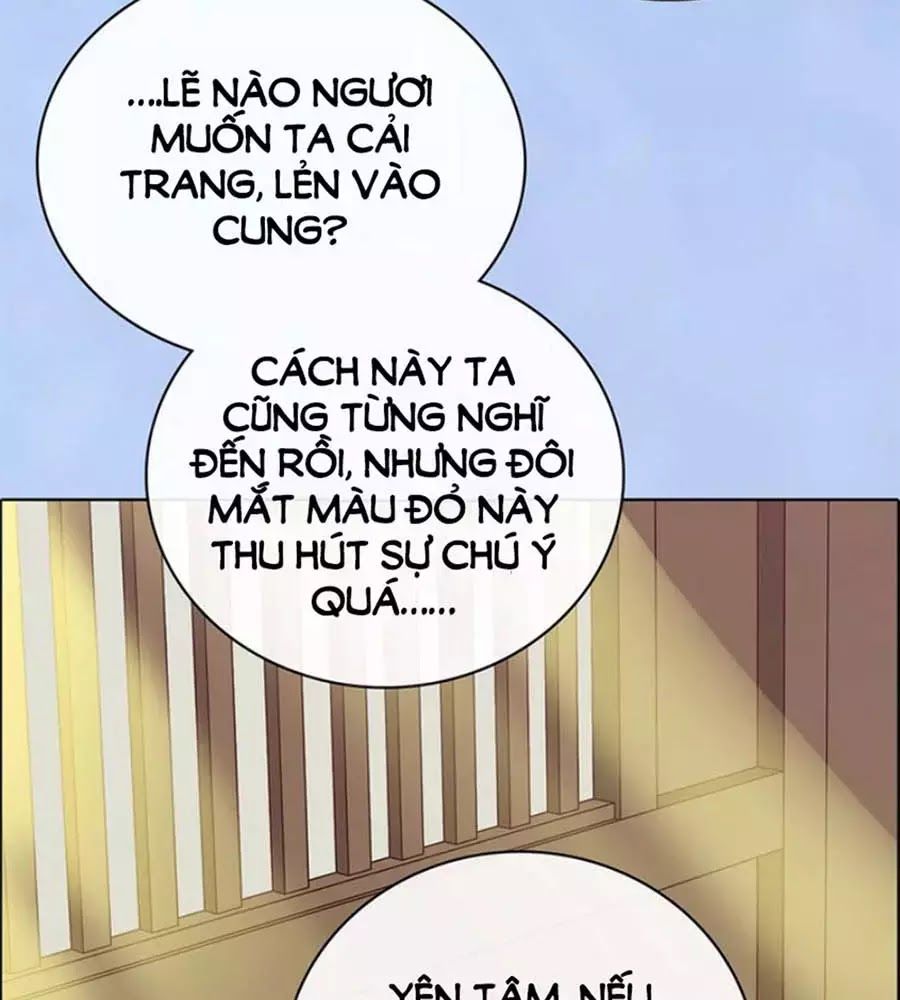 Mỹ Nhân Già Rồi Chapter 65 - Trang 2