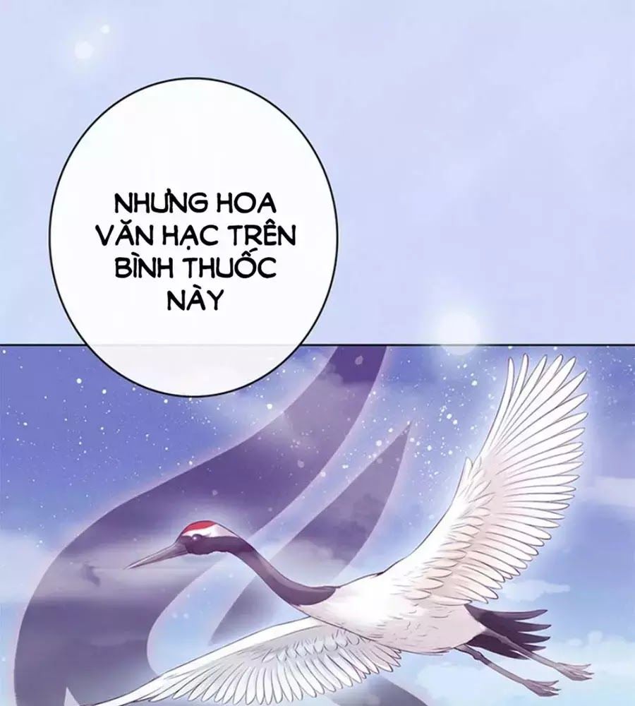 Mỹ Nhân Già Rồi Chapter 64 - Trang 2