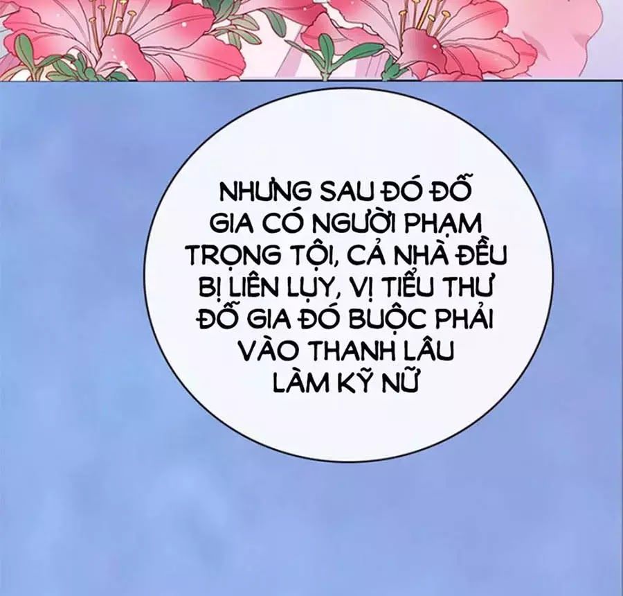 Mỹ Nhân Già Rồi Chapter 47 - Trang 2