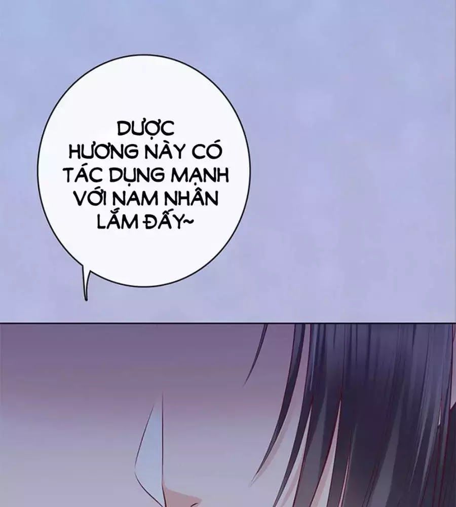 Mỹ Nhân Già Rồi Chapter 46 - Trang 2