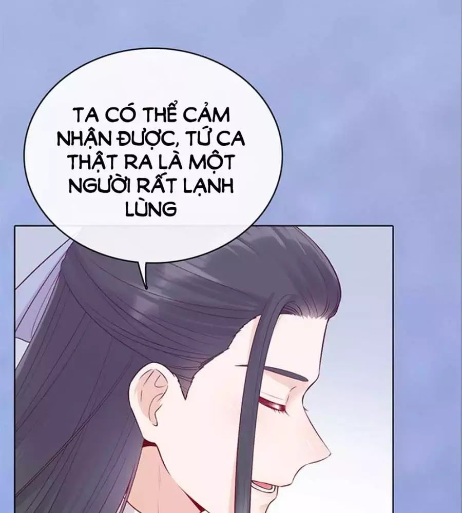 Mỹ Nhân Già Rồi Chapter 43 - Trang 2