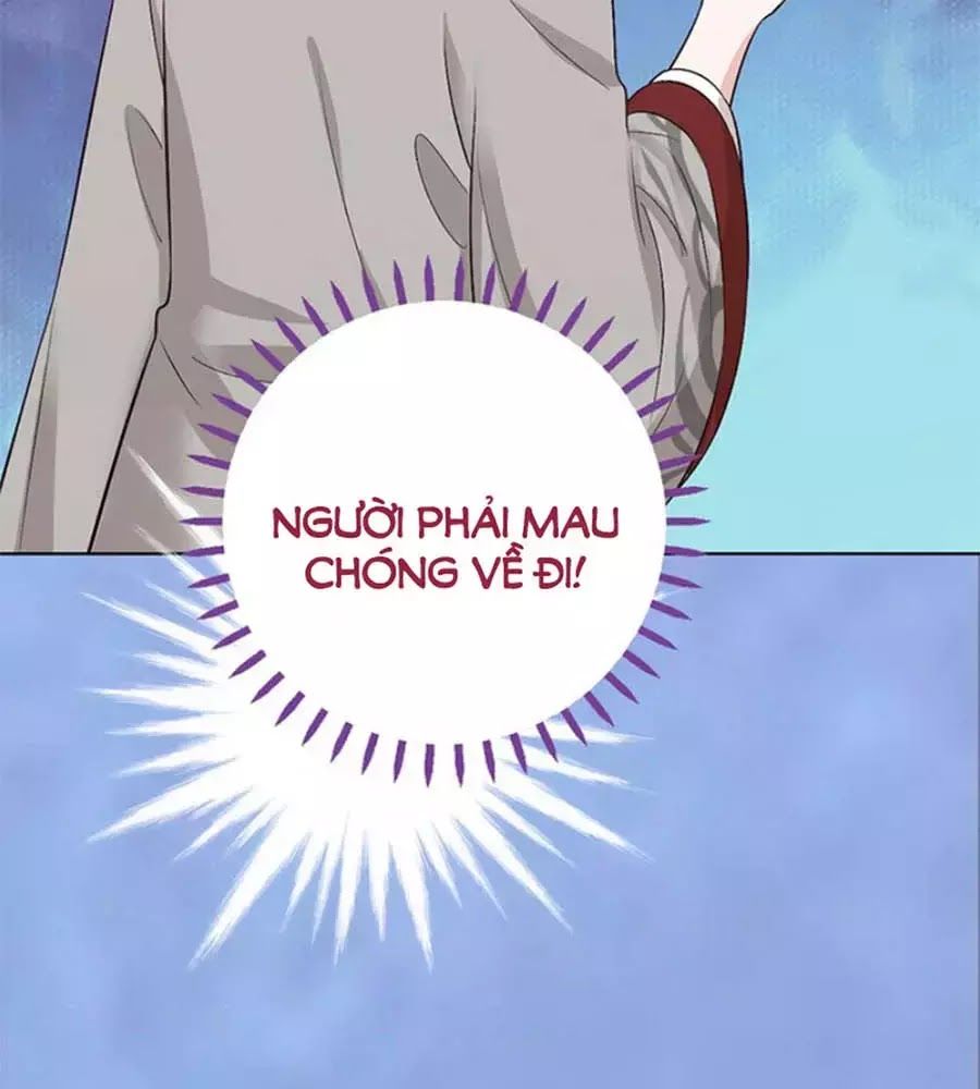 Mỹ Nhân Già Rồi Chapter 43 - Trang 2