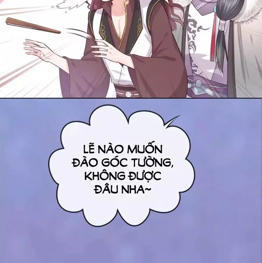 Mỹ Nhân Già Rồi Chapter 43 - Trang 2